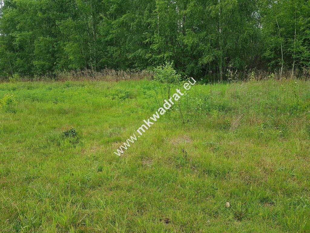 Działka budowlana Czarny Las. Zdjęcie 3