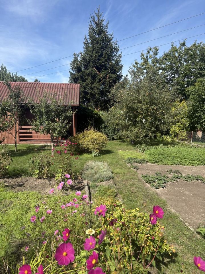 Działka rod Biała Podlaska, ul. Sworska. Zdjęcie 1