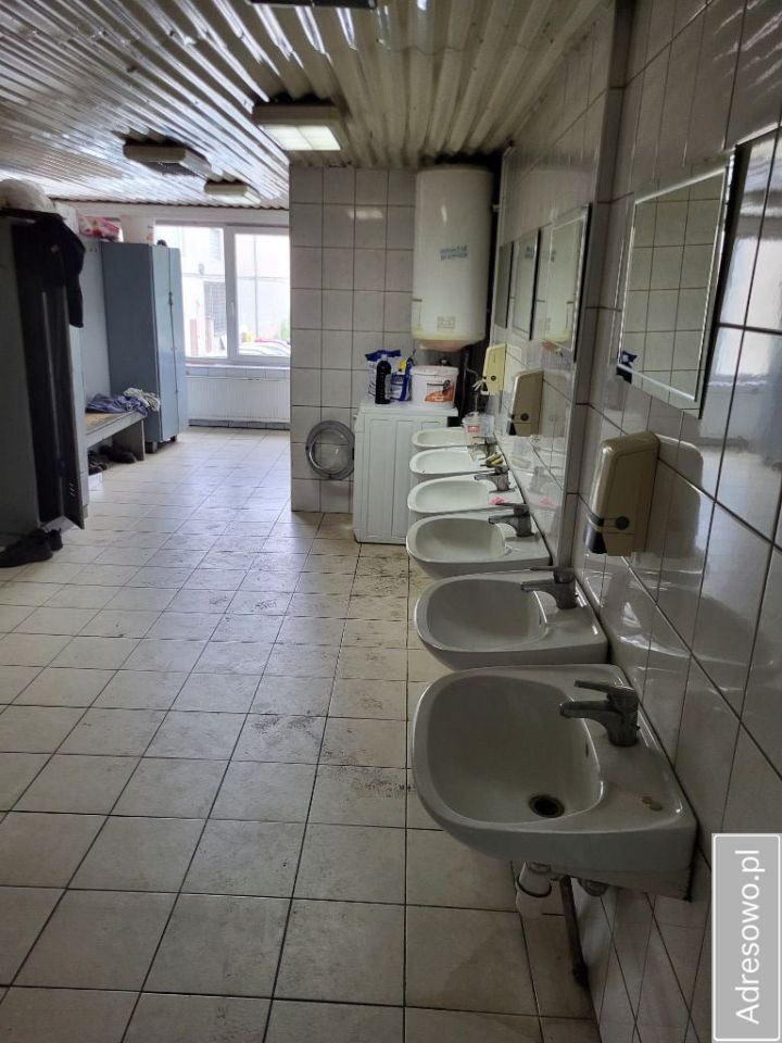 Hala/magazyn Łódź Teofilów. Zdjęcie 7