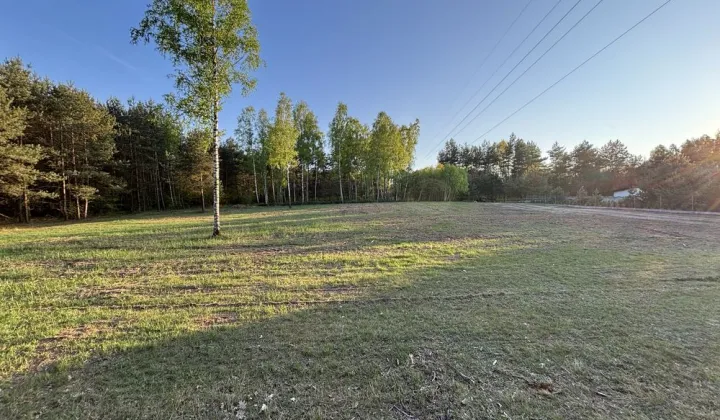 Działka rolno-budowlana Kolonia Dobryszyce