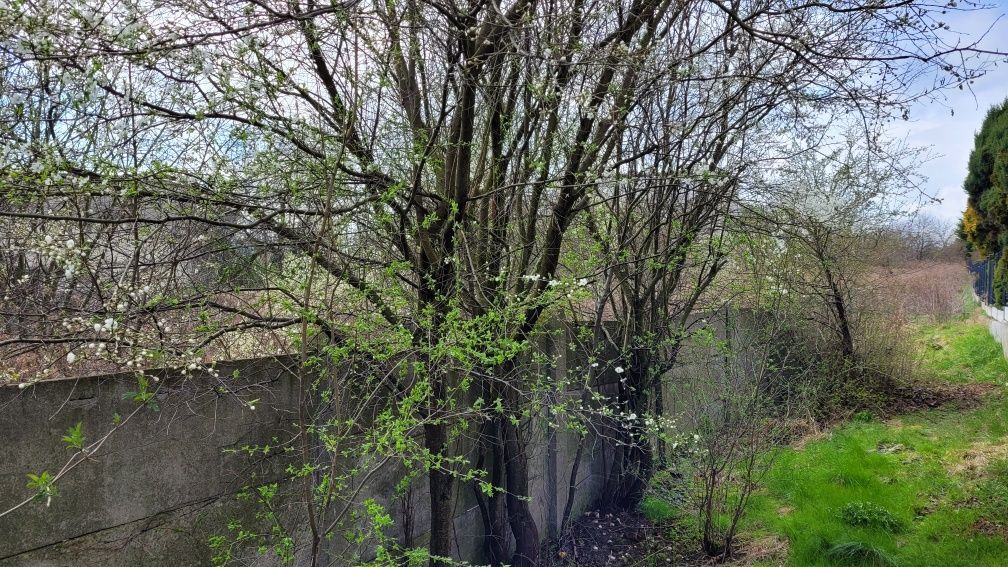 Działka budowlana Bobrowniki. Zdjęcie 3