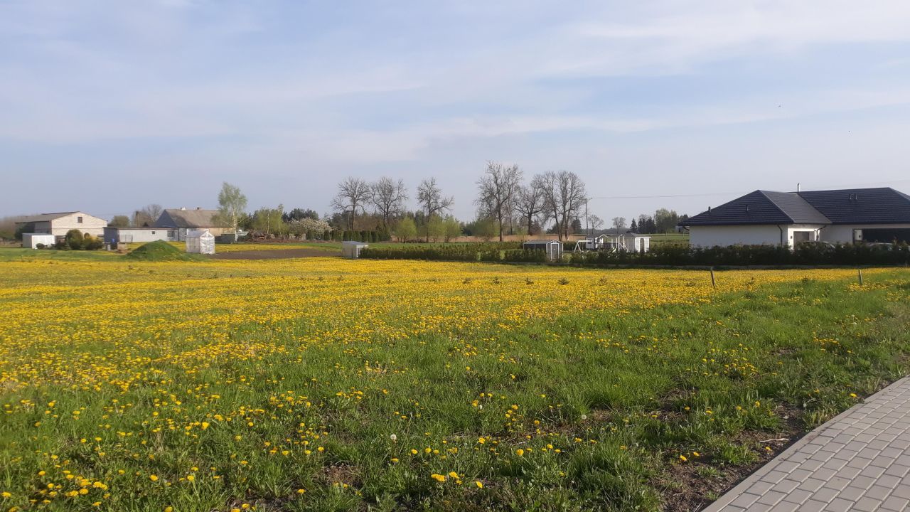 Działka budowlana Łysomice, ul. Graniczna. Zdjęcie 3