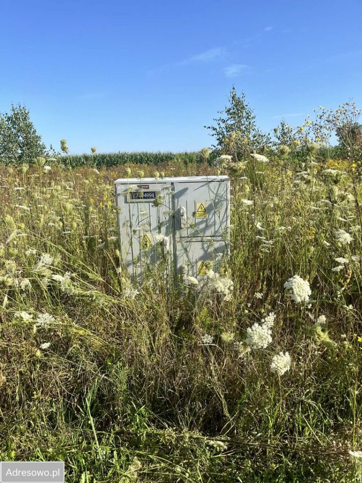 Działka budowlana Popielżyn-Zawady. Zdjęcie 9