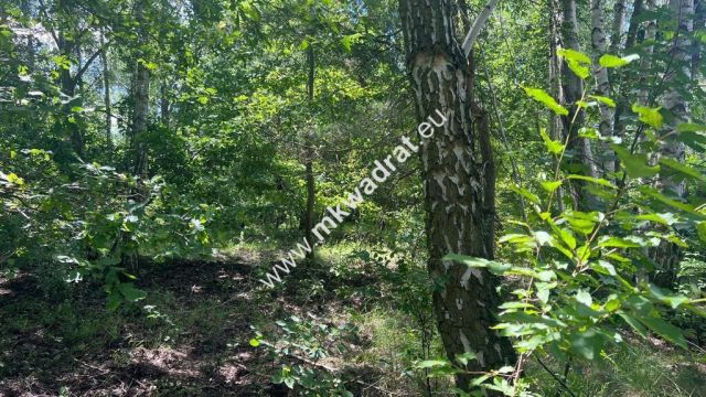 Działka budowlana Radonie. Zdjęcie 18