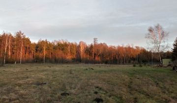 Działka siedliskowa Dobromierz