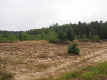 Działka rolno-budowlana Kąty-Miąski Flakowizna. Zdjęcie 1