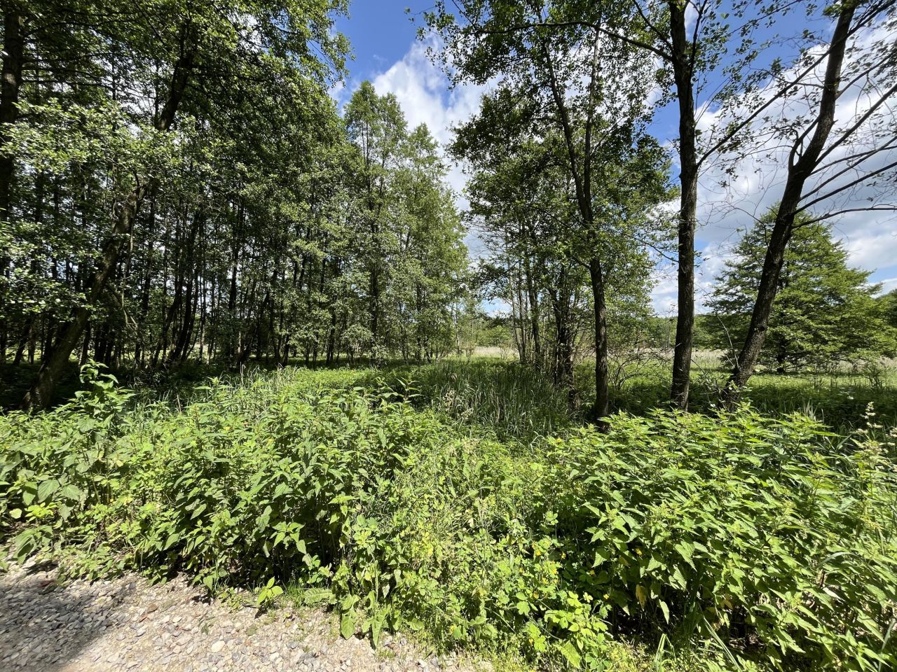 Działka rolna Siennica Nadolna. Zdjęcie 14