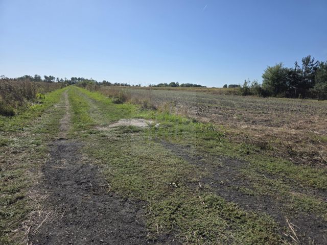 Działka budowlana Nowe Faszczyce. Zdjęcie 10