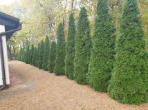 dom wolnostojący, 4 pokoje Brenno, ul. Łąkowa. Zdjęcie 4