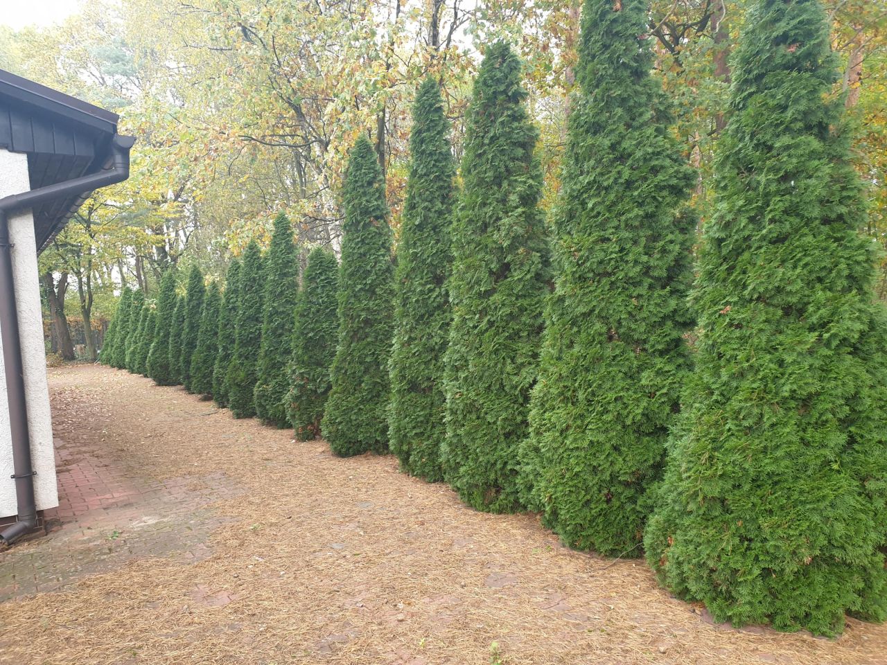 dom wolnostojący, 4 pokoje Brenno, ul. Łąkowa. Zdjęcie 5