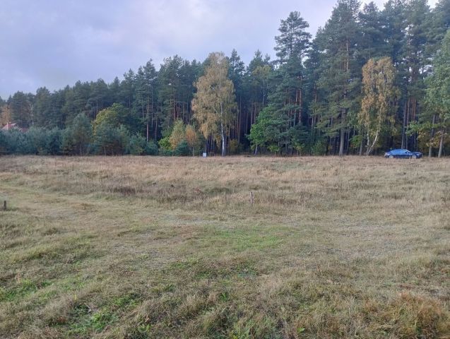 Działka rolno-budowlana Międzylesie. Zdjęcie 1