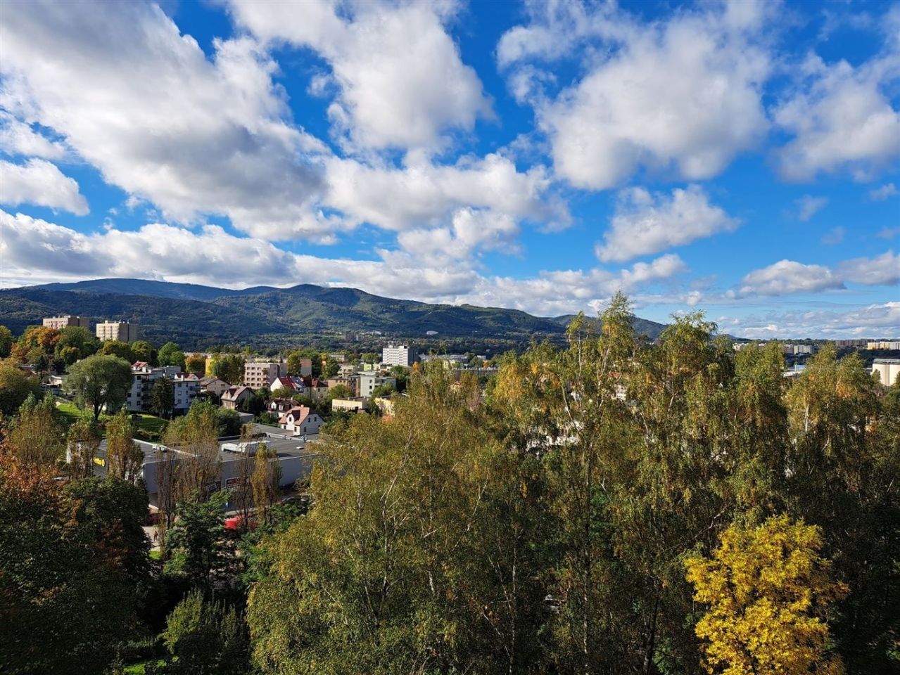 Mieszkanie 1-pokojowe Bielsko-Biała Złote Łany. Zdjęcie 3