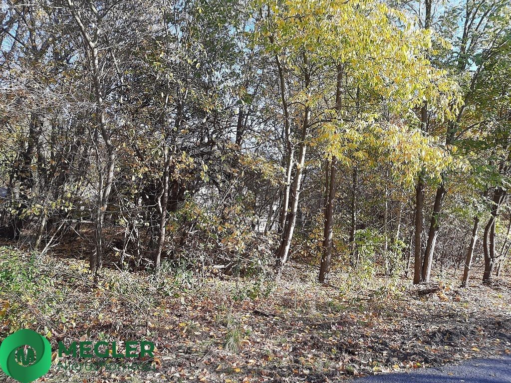 Działka budowlana Żółwin. Zdjęcie 3