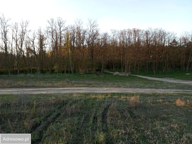 Działka budowlana Lubikowo. Zdjęcie 1