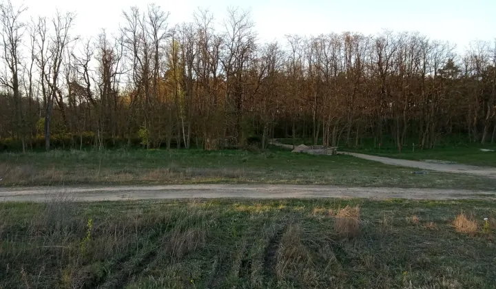 Działka budowlana Lubikowo