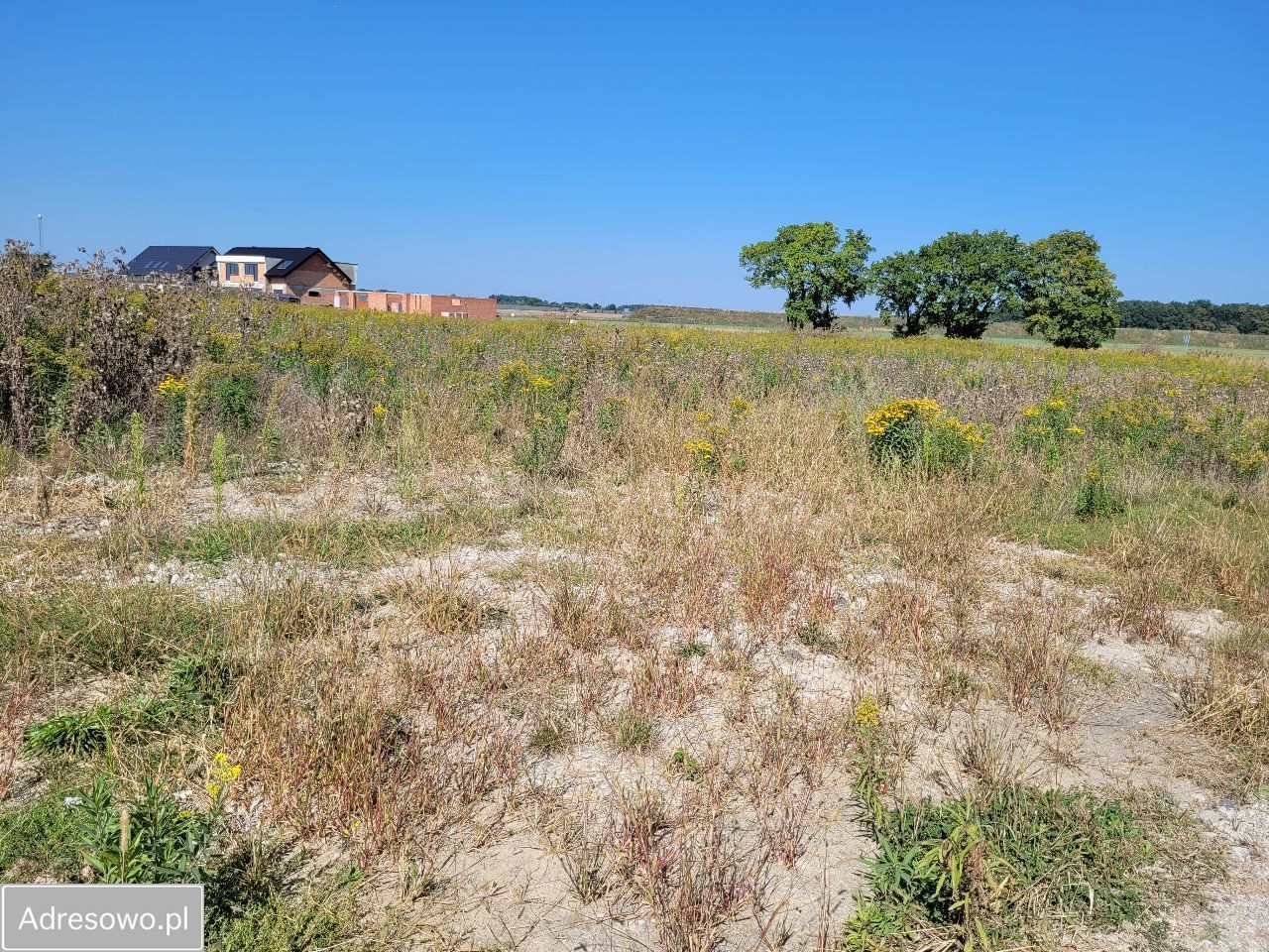 Działka budowlana Ramiszów. Zdjęcie 6