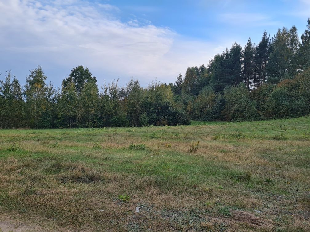 Działka rolna Bobrownik. Zdjęcie 2