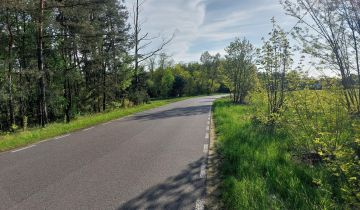 Działka rolno-budowlana Zamęty