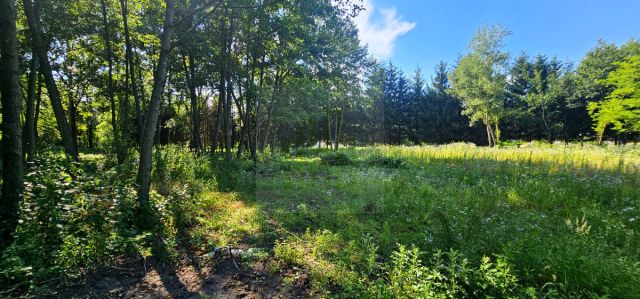 Działka budowlana Mościska. Zdjęcie 8