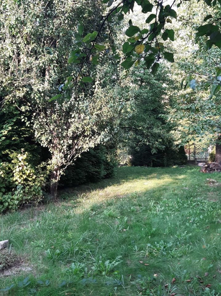 Działka rod Czeladź Kolonia Rożka, ul. Węglowa. Zdjęcie 7