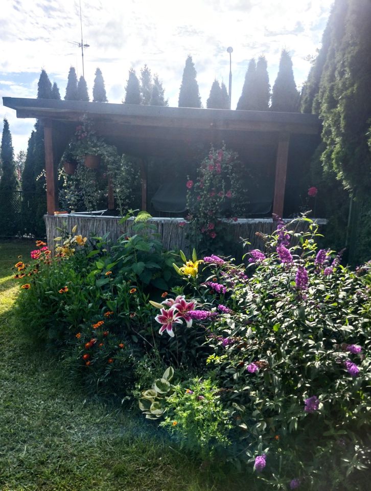 Mieszkanie 2-pokojowe Mostowo. Zdjęcie 23