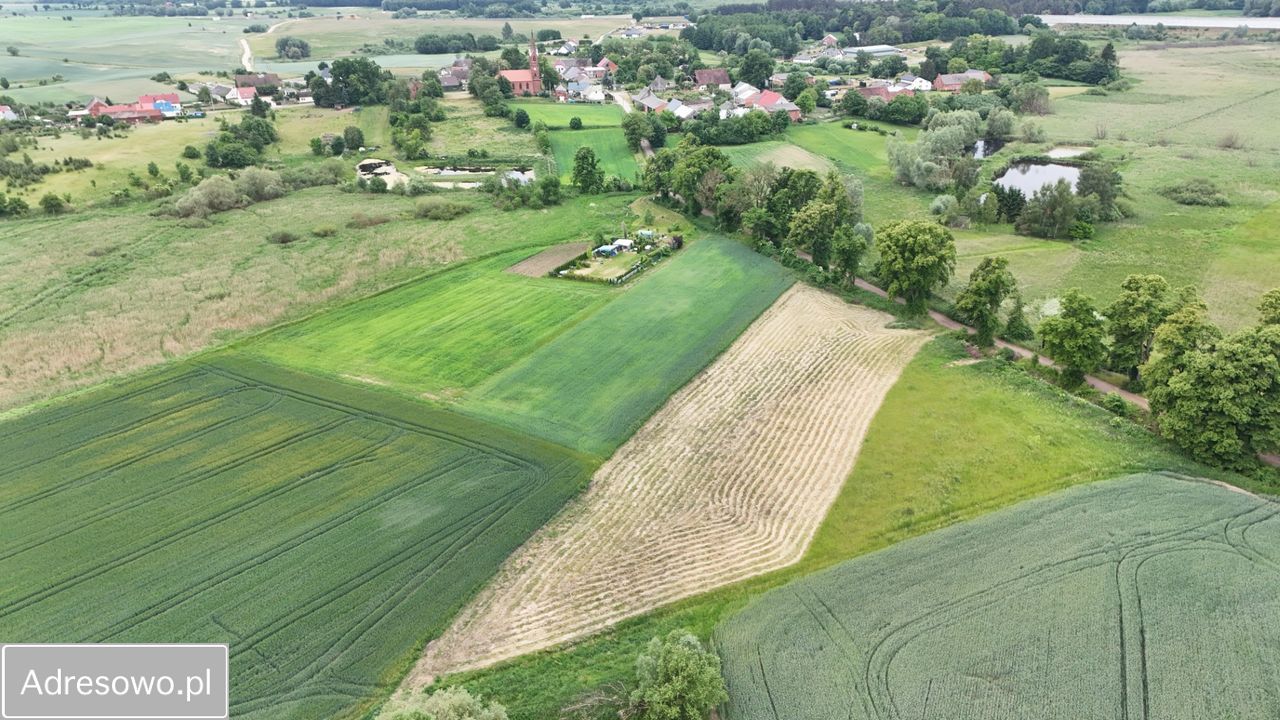 Działka rolno-budowlana Głazów. Zdjęcie 4