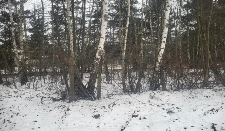 Działka budowlana Dąbrowa Górnicza Sikorka, ul. Czajkowa