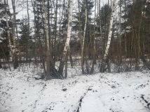 Działka budowlana Dąbrowa Górnicza Sikorka, ul. Czajkowa. Zdjęcie 1