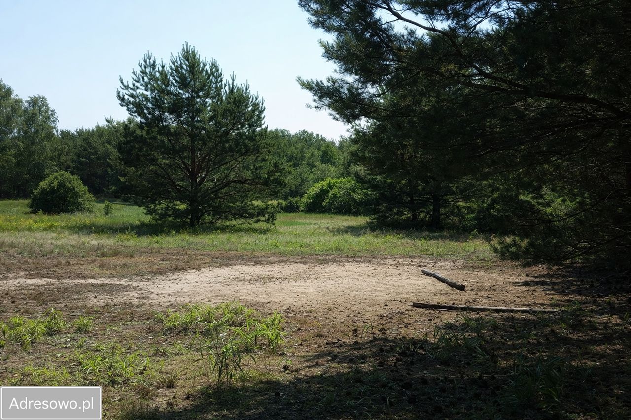 Działka siedliskowa Zalesie Królewskie. Zdjęcie 3