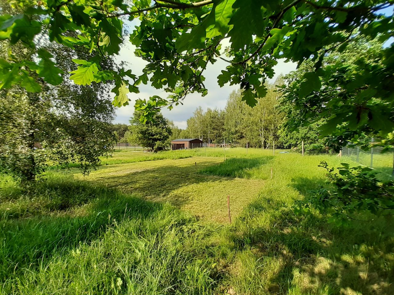Działka budowlana Podbiel Krupińskie, Sosnowa. Zdjęcie 9