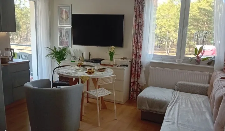 Mieszkanie 3-pokojowe Toruń