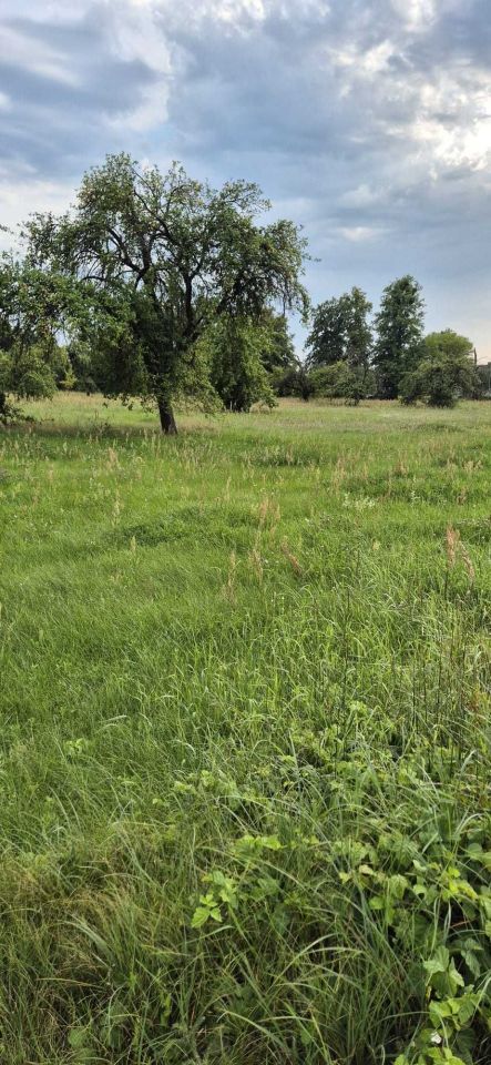 Działka rolno-budowlana Drężewo. Zdjęcie 6
