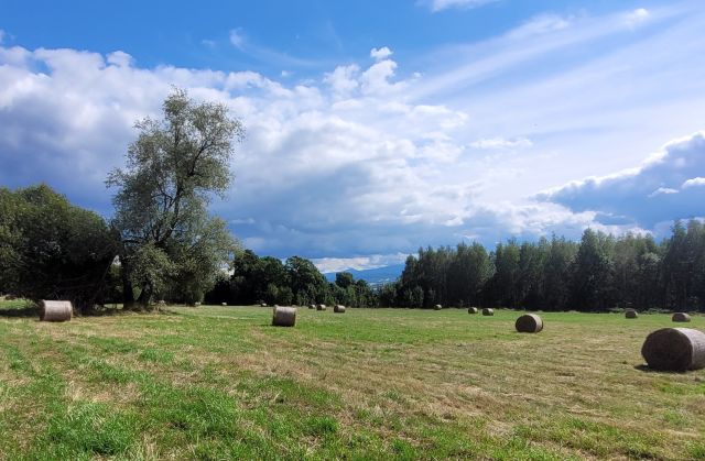Działka rolno-budowlana Grudza. Zdjęcie 2