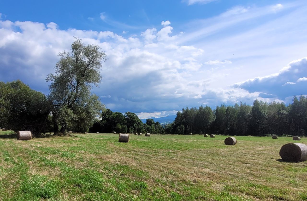 Działka rolno-budowlana Grudza. Zdjęcie 2