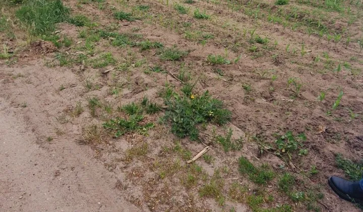 Działka budowlana Gabowe Grądy