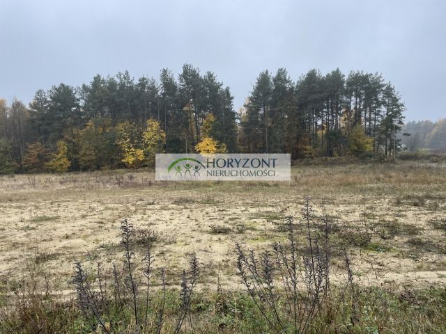 Działka budowlana Kamień. Zdjęcie 4