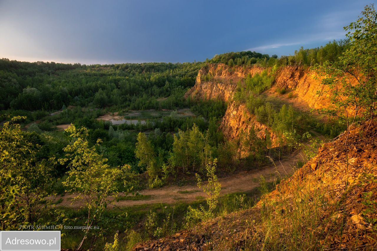 Działka budowlana Bytom Sucha Góra. Zdjęcie 2