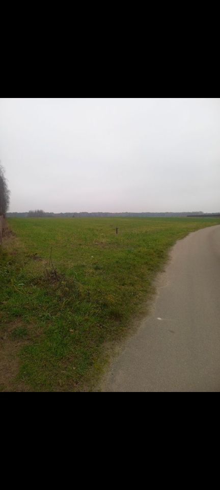 Działka budowlana Olszyc Szlachecki. Zdjęcie 4