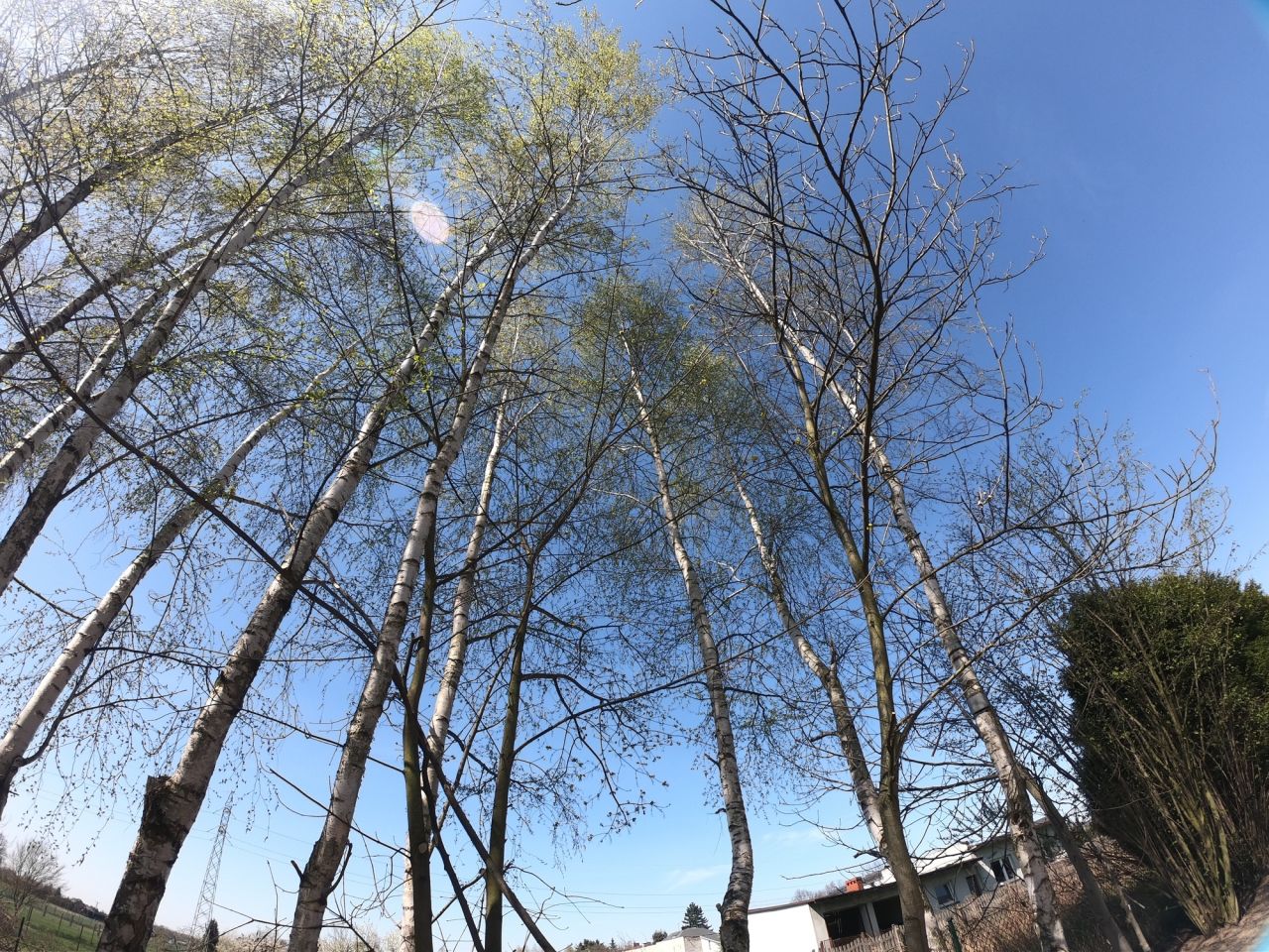 dom wolnostojący, 5 pokoi Sadów Kopce, ul. Powstańców Śląskich. Zdjęcie 59