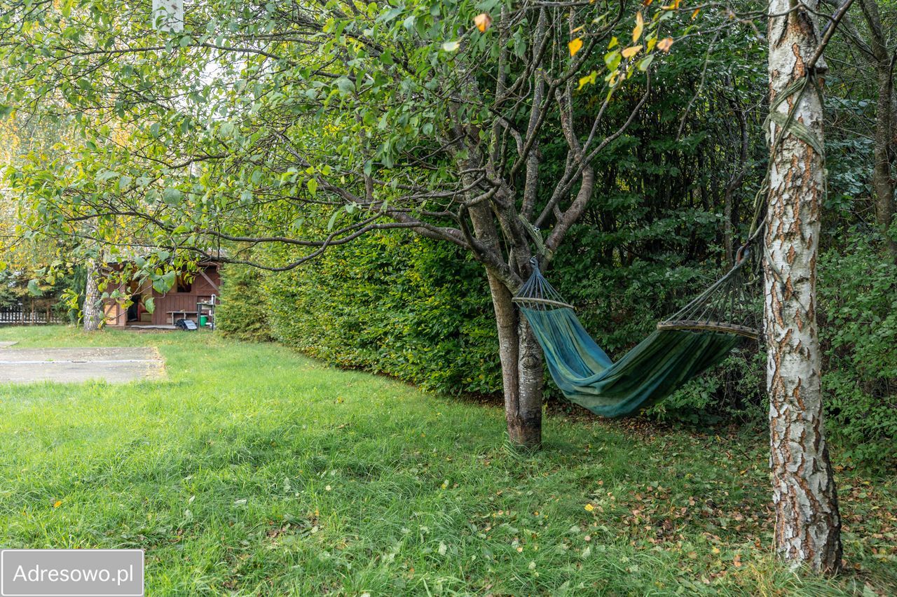 Działka budowlana Gowino, ul. Sosnowa. Zdjęcie 2