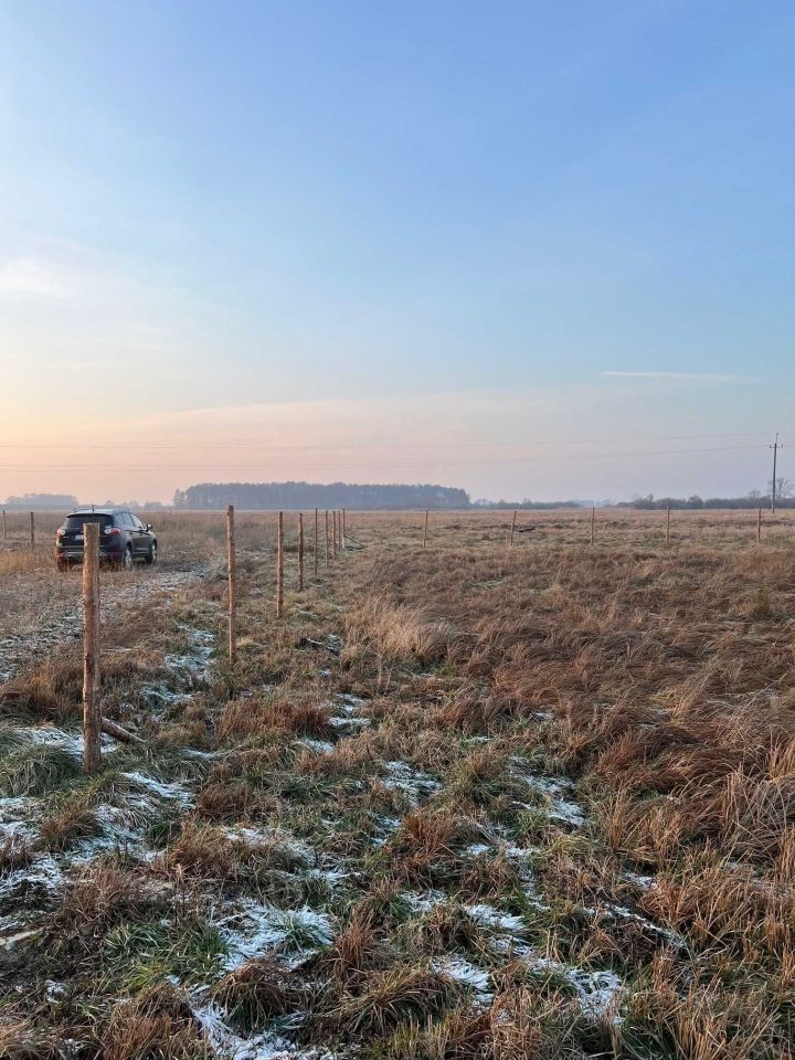 Działka rolno-budowlana Pucie. Zdjęcie 2