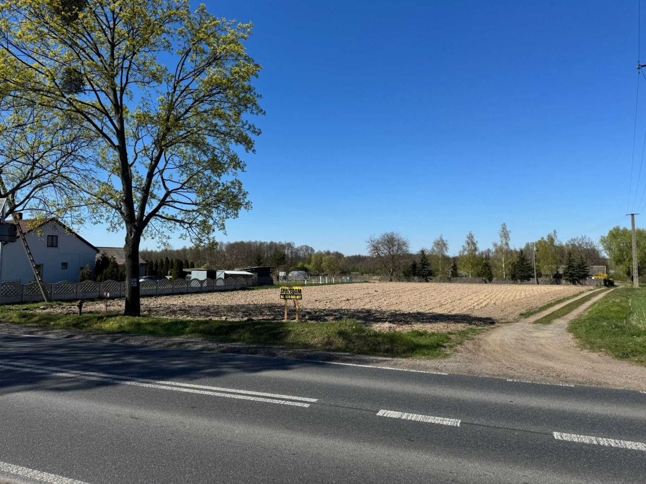 Działka rolno-budowlana Kraszewo. Zdjęcie 3