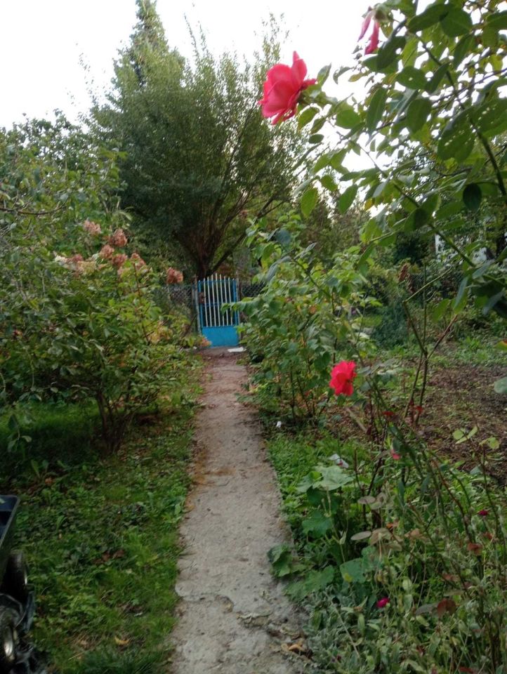 Działka rod Warszawa Zacisze, ul. Lewinowska. Zdjęcie 2