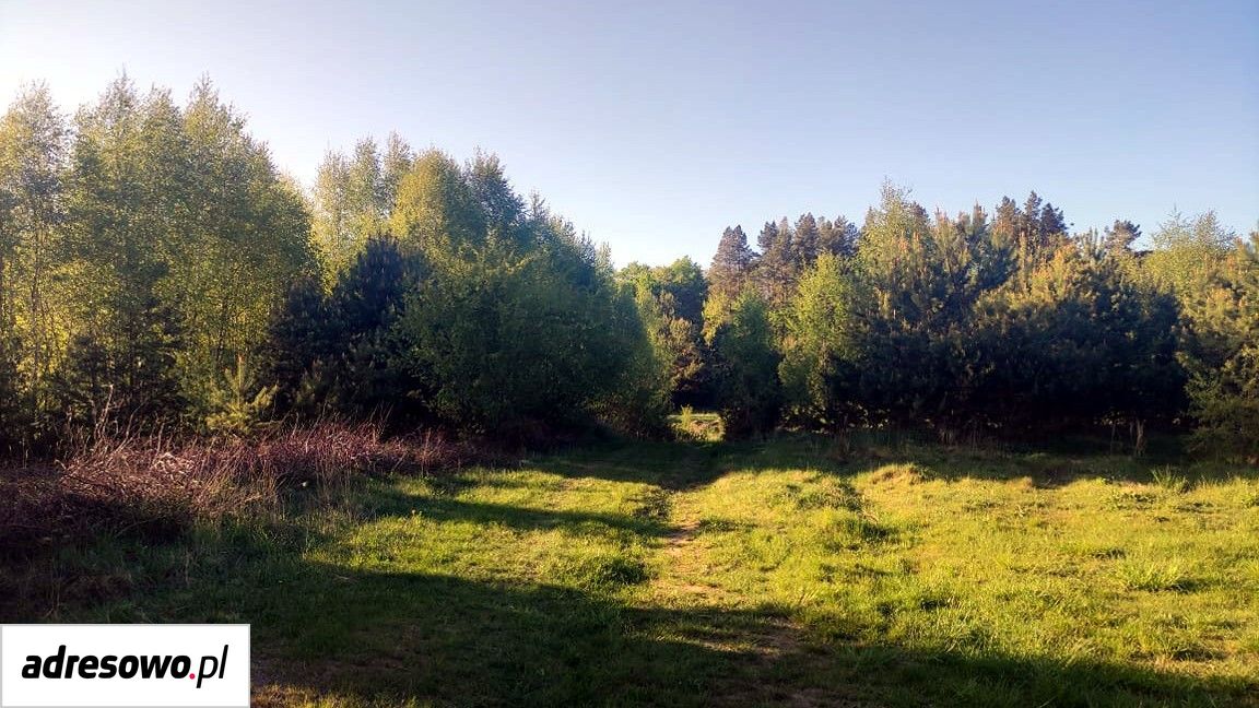 Działka budowlana Jodłowno, ul. Polna. Zdjęcie 18