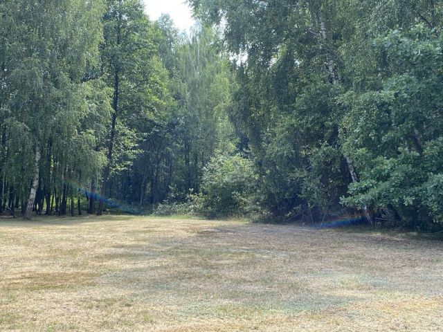 Działka budowlana Majdan Sieniawski. Zdjęcie 1