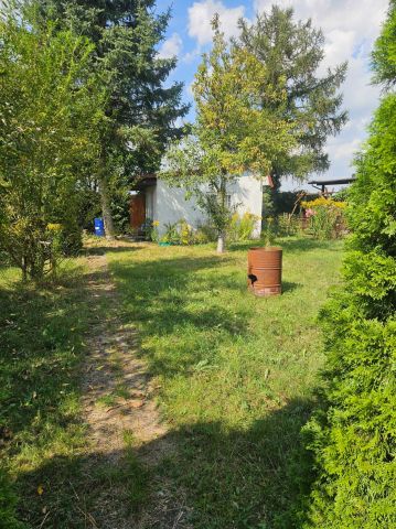 Działka rod Rogówko. Zdjęcie 1