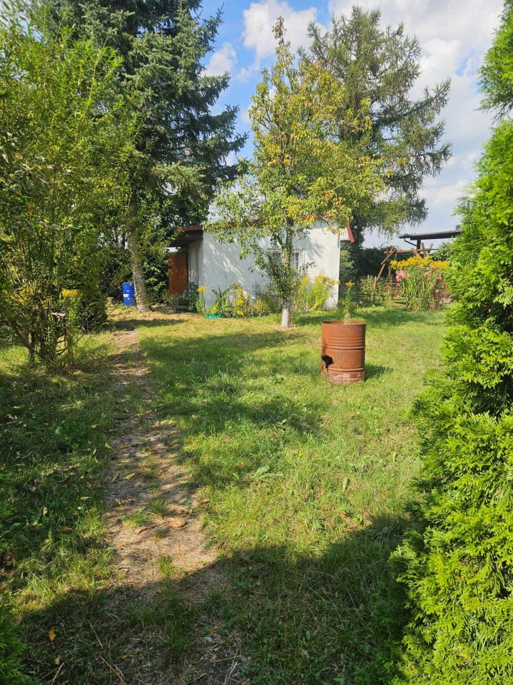 Działka rod Rogówko