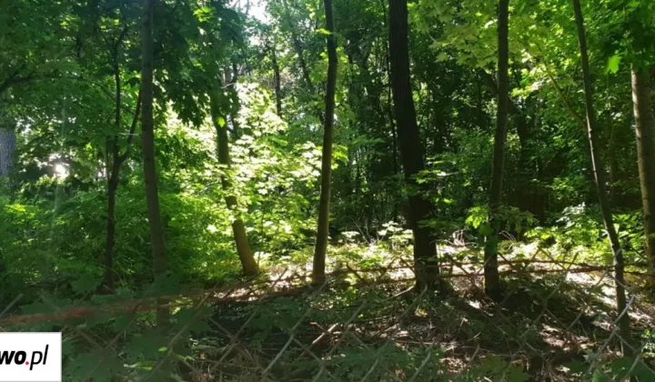 Działka budowlana Warszawa Wawer