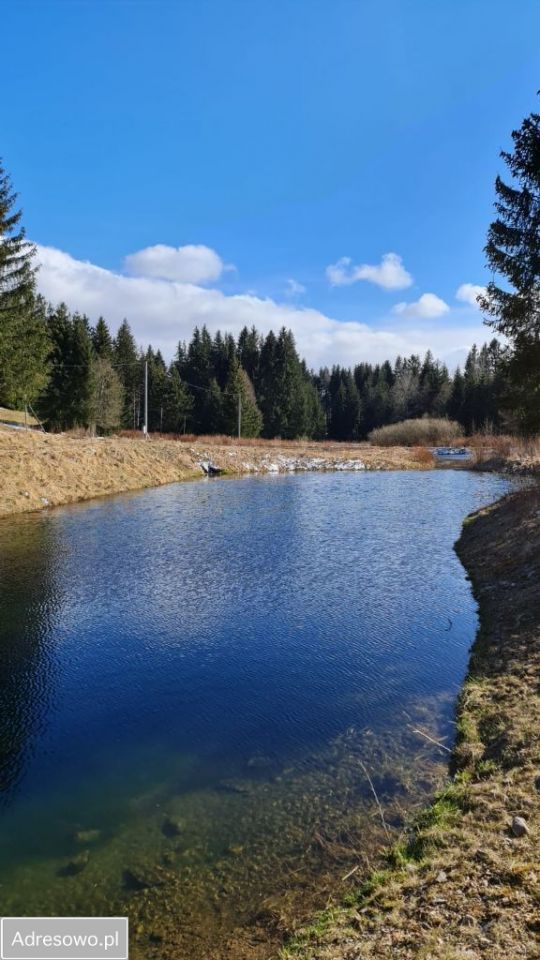 Działka rekreacyjna Piaskowice. Zdjęcie 8