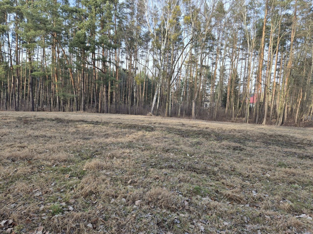 Działka budowlana Wólka, ul. Wiśniowa. Zdjęcie 5